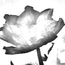 Pencil Sketch 022